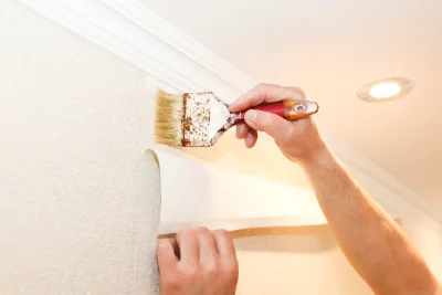 Pose de papier peint à Bugnein — revêtements muraux et toiles de verre